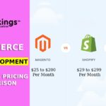 pricing of a platform for an e-commerce website